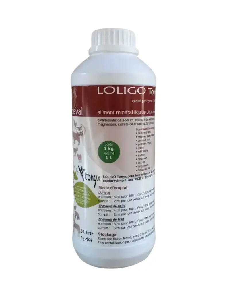 LOLIGO Tonyx 1L
